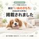 �L�u���V �L �u���V �y�b�g�u���V �� �u���V ���p�u���V �ю��N���[�i�[ �L�̖ю�� �ыʎ�� �J�[�y�b�g�N���[�i�[ �G�`�P�b�g�u���V 2�{�Z�b�g �֘A�摜1