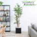  decorative plant human work tree fake green large stand decorative plant modern natural peace interior Home office equipment ornament ko-tine-to living poly- car s