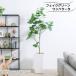  decorative plant human work tree fake green large stand decorative plant modern natural interior Home office equipment ornament ko-tine-to living umbellata 