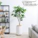  decorative plant human work tree fake green large decorative plant stand natural interior Home office remote Work ko-tine-to living fi rental 