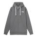 �U�E�m�[�X�E�t�F�C�X�iTHE NORTH FACE�j�i�����Y�j�g���[�i�[ �X�E�F�b�g ���A�r���[�t���W�b�v�t�[�f�B NT62640 SP
