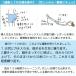 LC���u�R�X�� LC�C���i�[�{�[�� �S�g�� �P�[�Q���{�[�� ���Ւ�� �g���[�j���O �G�N�T�T�C�Y �f���P�[�g�]�[�� �������� �^�� �r�M�i�[ ���S�� ���� �֘A�摜3