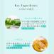 �n�[�o�����[�V���� 150ml �� �n�[�o�����[�V���� �z�b�g 150ml �Z�b�g �������[�V���� ������ �������[�V���� �A���R�������z�� ���{�� �֘A�摜3