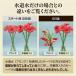 ���Ԃ����������� �h�{�� �؂�� ������ �|���v ��߃^�C�v �Ԃ̉h�{�� �t�� �؉� �t�����[�A�����W�����g ���� �A�����W�t�����[ ������ 1�v�b�V�� ������ �֘A�摜4