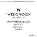���s�A���i �E�F�b�W�E�b�h Wedgwood �X�g���x���[�u���[���C���f�B�S �W���p�j�[�Y�e�B�[�J�b�v 200ml 5�q�Z�b�g �֘A�摜3