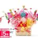 �L�����f�B�u�[�P �`���R �~�j ���َq ���\�� �ސE �� �v���[���g �M�t�g ���j�� �L�����f�B�[�u�[�P �J�X�j�� �ԑ� �`���R���[�g