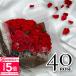 �v���[���g �� �o�� 40�{ �v���U�[�u�h�t�����[ �M�t�g ���[�Y�u�[�P �ԑ� �u�[�P ���j�� �a���� ������ �����j�� �͂�Ȃ�