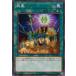 ͷ COTD-JP063 ߽(ܸ Ρޥ) ɡ֡ǥ奨ꥹ CODE OF THE DUELIST