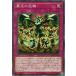 ͷ���� COTD-JP070 �Ʋ��ε���(���ܸ��� �Ρ��ޥ�) �����ɡ����֡������ǥ奨�ꥹ�� CODE OF THE DUELIST