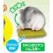 ڥ󥬥ꥢϥॹ ץ륢˥ ʤưʪ2