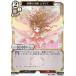 ӥǥХTCG A-B3-50R ŷ ꥢ (R 쥢) ֡ѥå裳 ФϻθԡǤ϶θ