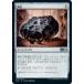 ޥå㥶 M21 JP 233  (ܸ 󥳥) ܥå2021 Core Set (MTG)