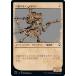 �ޥ��å������㥶��� CLB JP 447 �Կʤ���ǥ奪�ɥ��� (���ܸ��� �����) ��Ψ�ԥ쥸���󥺡��Х�������������Ȥ��襤