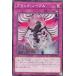 ͷ DABL-JP072 ֥åΡ֥ (ܸ Ρޥ) 󥰡֥饹