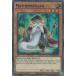 [��ʸ��] ͷ���� DLCS-EN025 �ޥ��ޥƥ������ Mathematician (�Ѹ��� 1st Edition ����ȥ�쥢) Dragons of Legend: The Complete Series