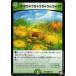 ǥ奨ޥ DMRP08 95/95 ܤ㤦㤦㤦㤦 (C ) Ķ!Х饮!!̵Ũ饪ز (DMRP-08)