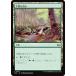 ޥå㥶 DSC JP 0318 ʿФ (ܸ ) ⡼ˤδ Ψ (MTG)