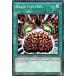 ͷ���� EGO1-EN023 ��Ǿ�ݥ֥쥤�󥳥�ȥ����� Brain Control (�Ѹ��� 1st Edition �Ρ��ޥ�) Egyptian God Deck��Obelisk the Tormentor