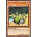 ͷ���� HAC1-EN081 �����ϡ��� �ꥵ�����㡼 Ally of Justice Searcher (�Ѹ��� 1st Edition �Ρ��ޥ�) �ڳ����� ������������⤴�����ޤ���