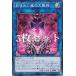 3祻åȡͷ INFO-JP047 ޤ줷 (ܸ Ρޥ) ե˥åȡեӥɥ
