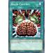 ͷ LED7-EN042 Ǿݥ֥쥤󥳥ȥ Brain Control (Ѹ 1st Edition Ρޥ) Legendary Duelists Rage of Ra