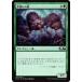 ޥå㥶 M19 JP 204 񱣤ϵ(ܸǥ) ܥå Core 2019 ܥåϿ MTG