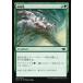 ޥå㥶 MH1 JP 184 ε (ܸ ) ۥ饤 Modern Horizons MTG