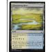 ޥå㥶 MTG  GS1 EN 019 ʤ꤯ͤ Meandering River(Ѹǥ Jiang Yanggu & Mu Yanling