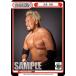 ReС NJPW/001B-P037   (P ѡȥʡ) ֡ѥå ܥץ쥹