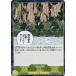 ڥɥۥǡۥԡɥ PRB01/OP05-117 åѡ䡼 (UC 󥳥) ץߥ֡ ONE PIECE CARD THE BEST (PRB-01)