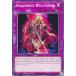 ͷ SGX3-END17 ޥͥΰ Amazoness Willpower (Ѹ 1st Edition Ρޥ) Speed Duel GXDuelists of Shadows