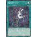 ڥץ쥤ѡ ͷ SSB1-JP038 ѻդκ (ܸ Ρޥѥ) SECRET SHINY BOX š