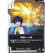 ������५���ɥ����� ST10-015 �Ȼ��ӡ���ˤ (C �����) �������ȥǥå� Generation Pulse