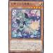 ͷ���� SUDA-JP027 ���ۻҤ������������ (���ܸ��� �쥢) ���ץ꡼�ࡦ�������ͥ�