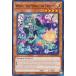 ͷ���� SUDA-EN027 ���ۻҤ������������ (�Ѹ��� 1st Edition �Ρ��ޥ�)