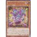 3祻åȡͷ WPP6-JP017 ߥߥ롦٥ (ܸ Ρޥ) WORLD PREMIERE PACK 2025