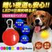 首輪 光る 光る首輪 犬 LED ペンダント 充電式 USB ライト ランニング ウォーキング 散歩