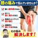 �G�T�|�[�^�[ �Ђ��T�|�[�^�[ �G�x���g �G�o���h ������ �Œ� �x���� ����� ������ �O��� �W���j�A �q�� ������ �I�X�O�b�h �����x���g �������� ���� �֘A�摜2