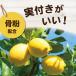 �ʎ��@���� �������E�~�J���E���k�ނ̔엿 500g�@�ʎ� ���k �엿 ��p �֘A�摜2