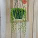  with translation decorative plant green necklace 5 number hanging interior Kawai i pretty dressing up interior 