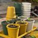  Hachiman eko pot круглый 3 номер ~6 номер [SDGs][ pot ][sa стойка nabru][ eko ][ стиль ]