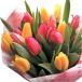  тюльпан Рождество подарок букет тюльпан. букет M