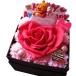��̓� �v���[���g �v�[���� �s�O���b�g �n�[�g �f�B�Y�j�[ �� �͂�Ȃ��� �ԑ��� �\�[�v�t�����[�T�v���C�Y �t�����[�{�b�N�X �o�� ��e ���ꂳ��