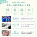 �f�B�Y�j�[ �E�F�b�g�e�B�b�V�� �E�G�b�g�e�B�b�V�� ���ۃV�[�g ���p�i �m���A���R�[�� ���ۃE�F�b�g�e�B�b�V�� ���� �܂Ƃߔ��� �g�C�X�g�[���[ 60���~20�� �֘A�摜5