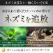 �o���T�� �l�Y�~�쏜 ���ʔ��Q �l�Y�~������ �l�Y�~ �˂��� �l�Y�~�쏜�� �l�Y�~�ގ� �˂��݋쏜 ������ �쏜 �Q���쏜 ������ �U�`�W���p 3�� ���b�N �֘A�摜2