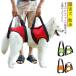  собака уход для Harness передний пара приспособление для ходьбы Harness собака для товары для ухода задний пара травма рука . ходьба вспомогательный пояс li - bili препятствие собака прогулка выход средний собака большой собака .
