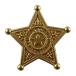  значок безопасность булавка модель брошь безопасность . значок shelif Star звезда Gold почтовая доставка бесплатная доставка 