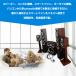 �u���[�g�D�[�X ����M�@ ����� BLUETOOTH ���M�@ ��M�@ �g�����X�~�b�^�[ ���V�[�o�[ �X�e���I ������ ���^ �e���r TV usb���d ���y�u���[�g �֘A�摜4