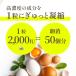 �r�^�~��D3 �T�v��120���� 2000IU/�� DHA EPA �t�B�b�V���I�C�� ��e�� �J�v�Z�� Nature In �������� ���{�� �֘A�摜5