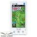  утро день Golf Eagle Vision NEXT G EV-438 GPS Golf navi Япония стандартный товар 